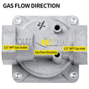 BurnTouch 7010-5010 Gas Regulator 1/2 PSIG 1/2" NPT Natural Gas and Liquid Propane NAT 5" - LPG 10" WC