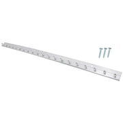 Metal wall-mounted hook strip with multiple hooks and screws 