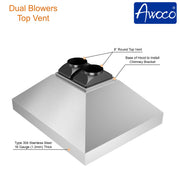 RH-IS-H BBQ Outdoor Range Hood with Dual blowers and 2 round 8 inch top vents