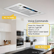 Ceiling-mounted range hood 