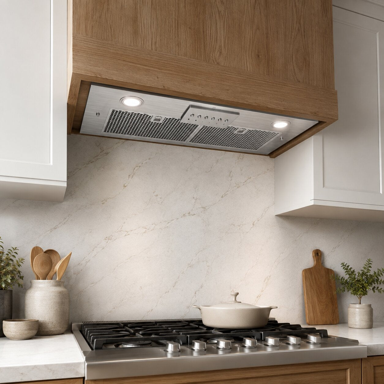 A stainless steel under-cabinet range hood