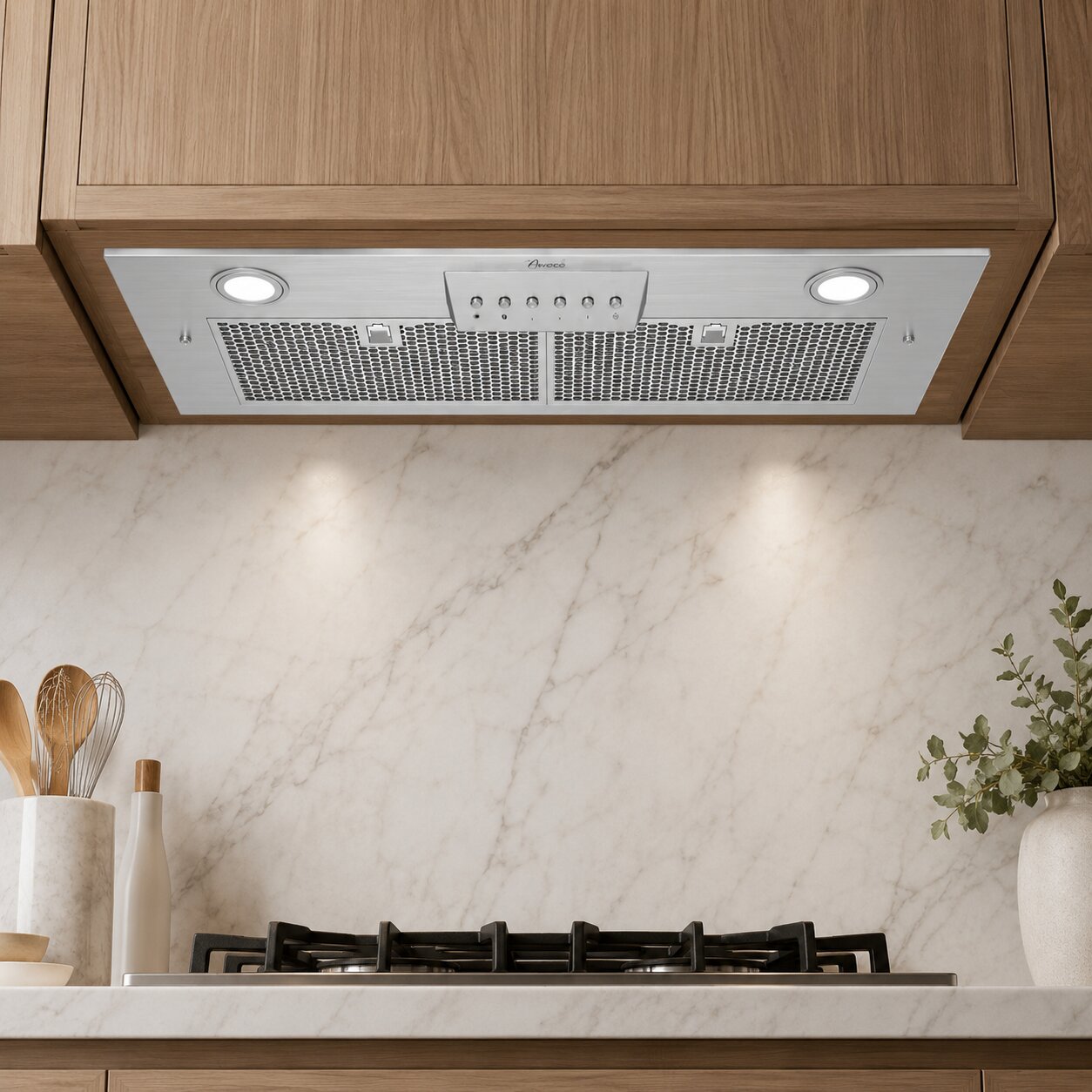 Super quiet split insert stainless steel range hood
