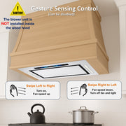 RH-IT06-GV Ceiling Mount Range Hood Split Insert Install in the wood hood with voice control and gesture feature