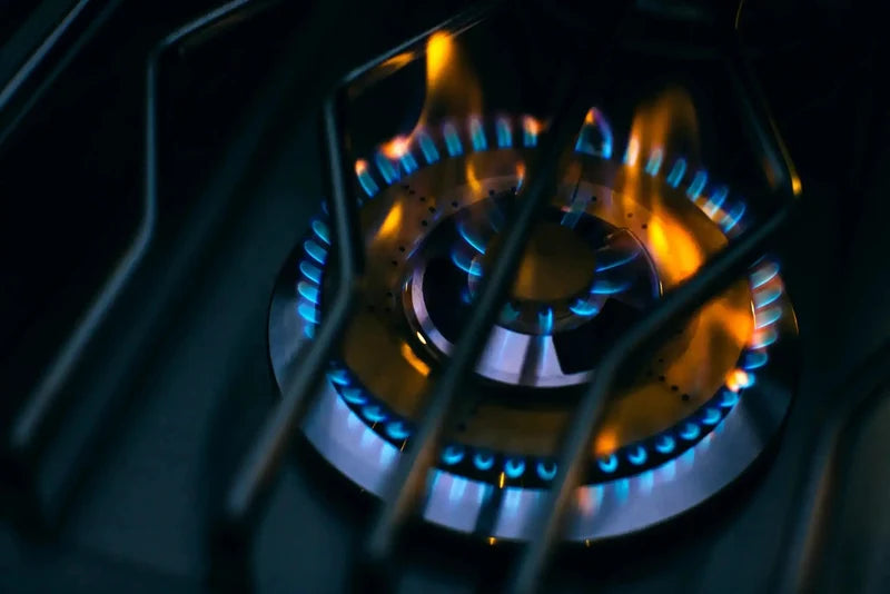 Whistler Black Series Double Side Burner,  24,000 BTU,  2 Cast Brass Burners