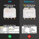 Comparison of LED and fluorescent light bulbs with labels on fly traps.