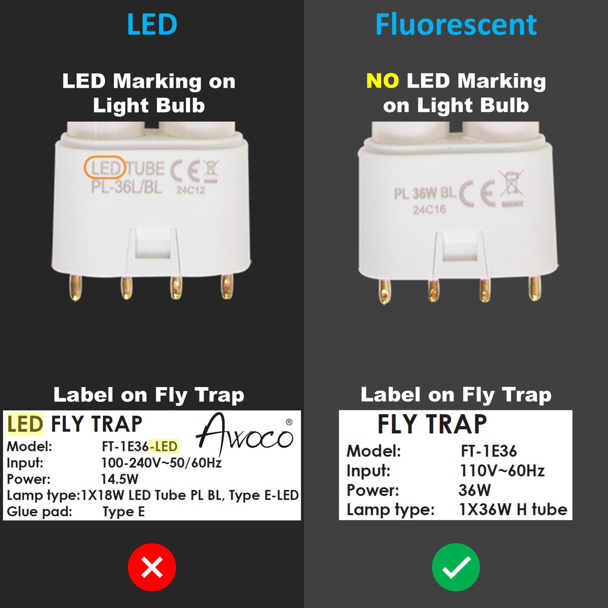 Comparison of LED and fluorescent light bulbs with labels on fly traps.