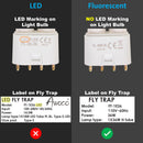 Comparison of LED and fluorescent light bulbs with labels on fly traps.